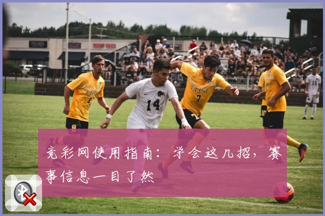 竞彩网使用指南：学会这几招，赛事信息一目了然