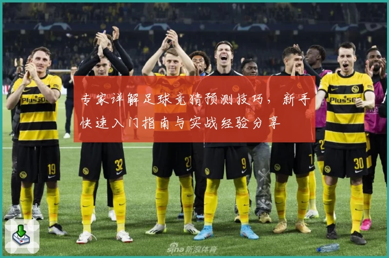 专家详解足球竞猜预测技巧，新手快速入门指南与实战经验分享