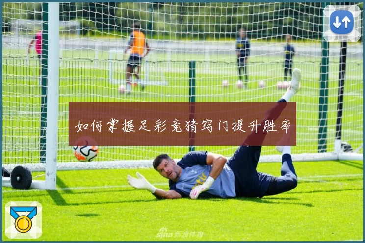 如何掌握足彩竞猜窍门提升胜率