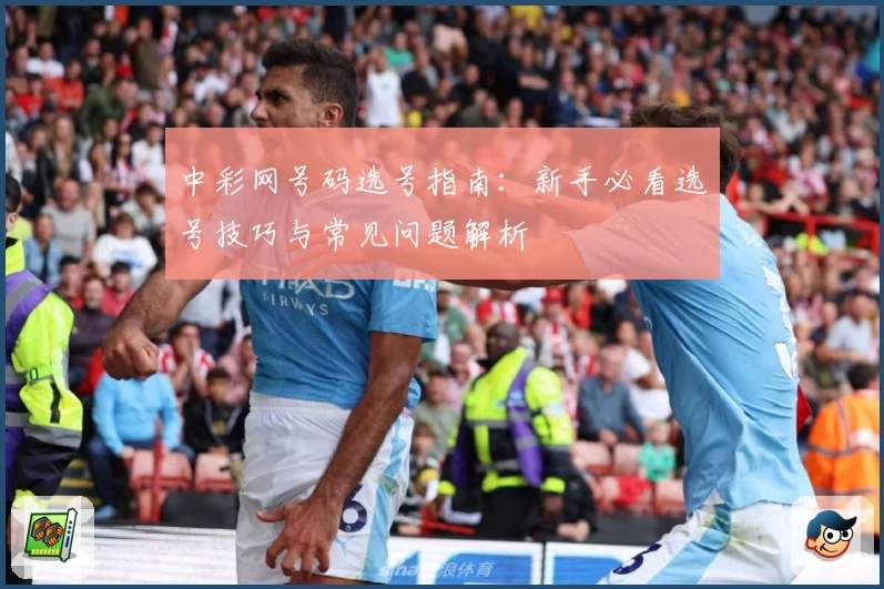 中彩网号码选号指南:新手必看选号技巧与常见问题解析