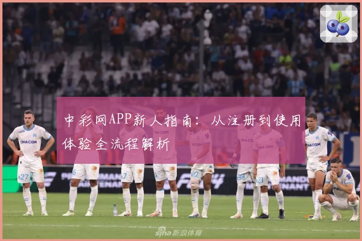 中彩网APP新人指南：从注册到使用体验全流程解析
