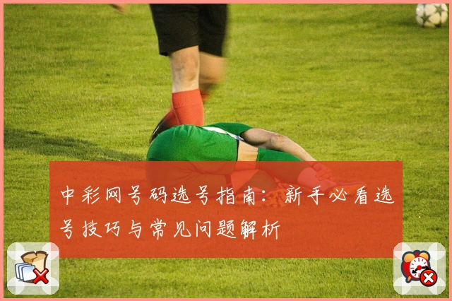 中彩网号码选号指南：新手必看选号技巧与常见问题解析